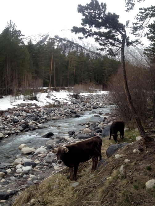 Скитур и фрирайд Приэльбрусье - Безенги. Часть 1 "Приэльбрусье 10 лет спустя" (Ски-тур)