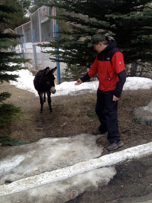Скитур и фрирайд Приэльбрусье - Безенги. Часть 1 "Приэльбрусье 10 лет спустя" (Ски-тур)