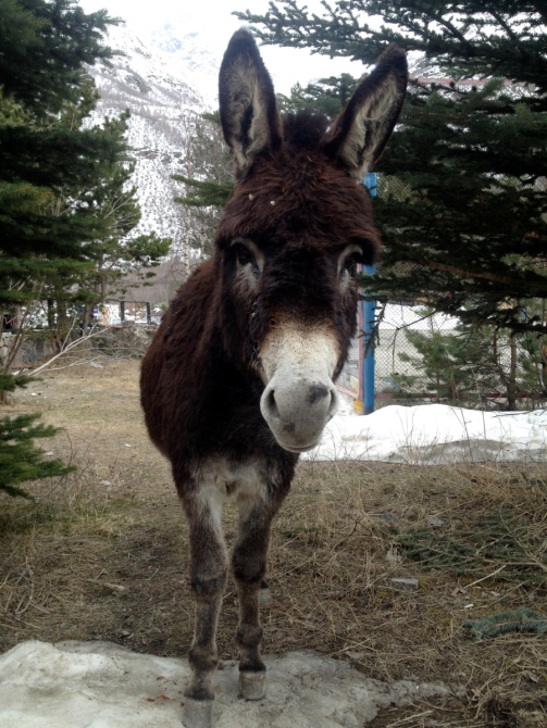 Скитур и фрирайд Приэльбрусье - Безенги. Часть 1 "Приэльбрусье 10 лет спустя" (Ски-тур)