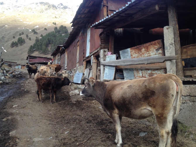 Скитур и фрирайд Приэльбрусье - Безенги. Часть 1 "Приэльбрусье 10 лет спустя" (Ски-тур)