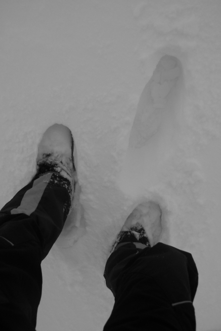 B.A.S.E. & Роуп взгляд на Хибины: результаты ознакомительного выезда. (BASE, 23 км, поиск, откол, бэйс, приключение, кировск, часначорр, экзит)