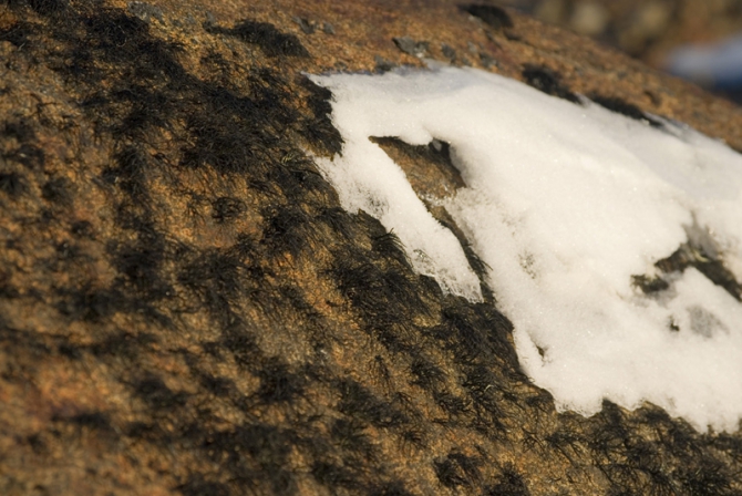 Полюс недоступности (Путешествия, антарктида, раэ)