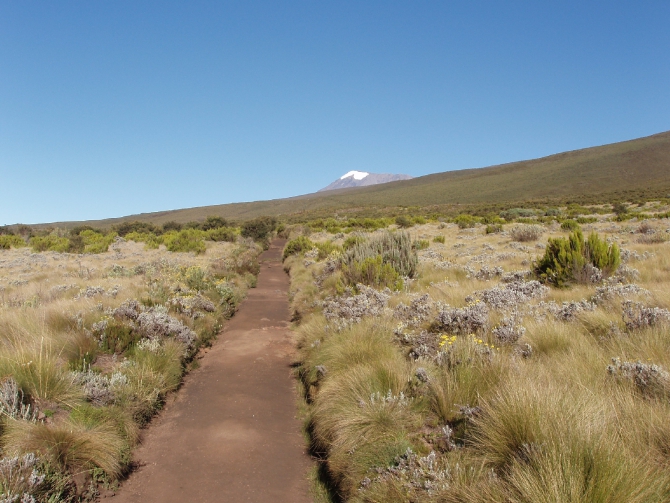 Пройденный путь (Килиманджаро, земля, фотоконкурс)