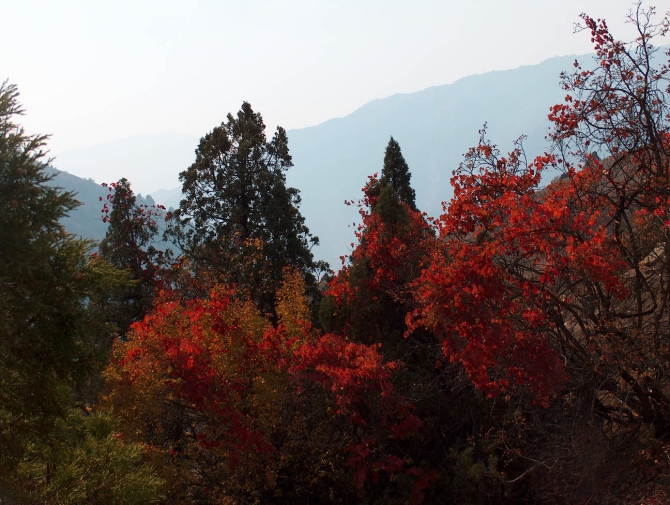 Прогулка по Ширкенту (Горный туризм, таджикистан)