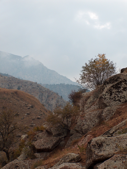 Прогулка по Ширкенту (Горный туризм, таджикистан)