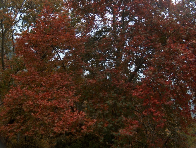 Прогулка по Ширкенту (Горный туризм, таджикистан)