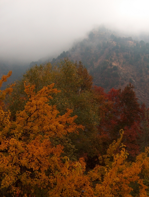Прогулка по Ширкенту (Горный туризм, таджикистан)