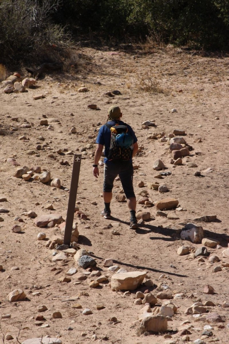 Каждому труженику по Мескалито...