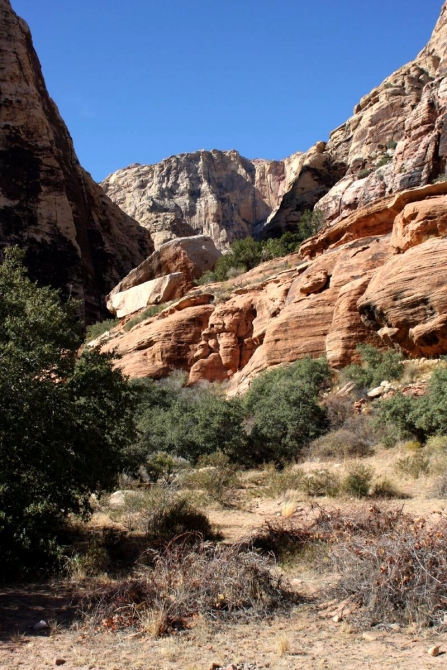 Каждому труженику по Мескалито...
