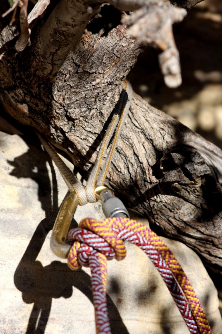 Каждому труженику по Мескалито...