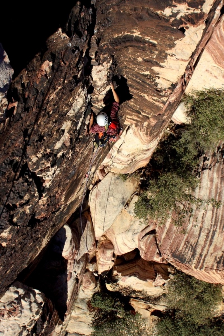 Каждому труженику по Мескалито...