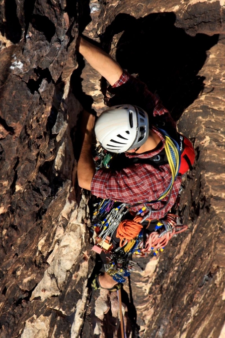 Каждому труженику по Мескалито...