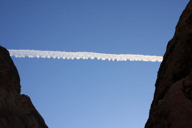 Каждому труженику по Мескалито...