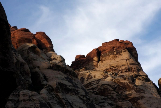 Каждому труженику по Мескалито...