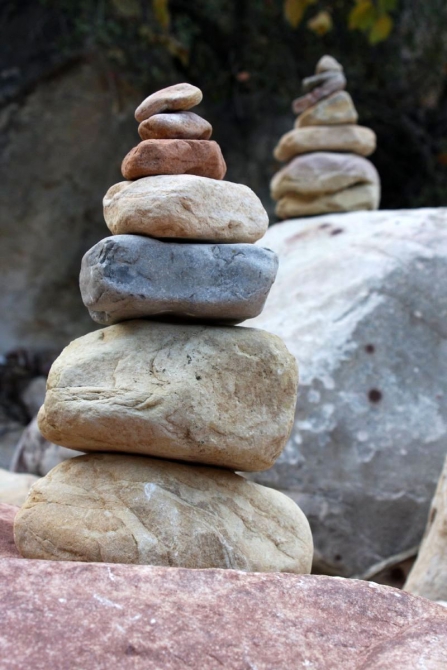 Каждому труженику по Мескалито...