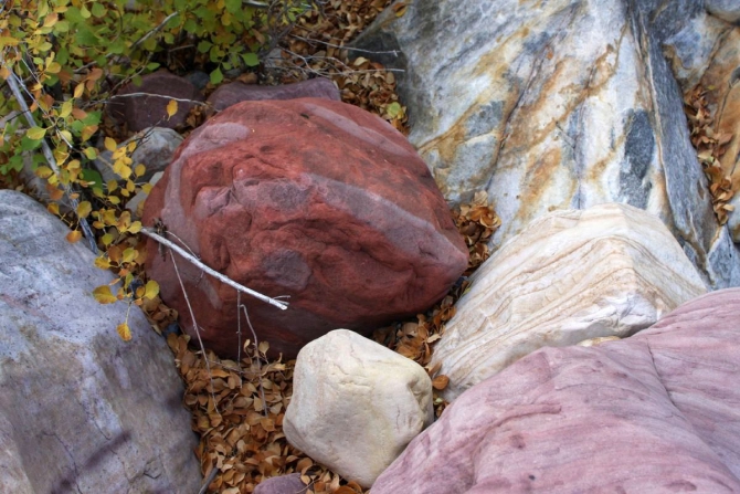 Каждому труженику по Мескалито...