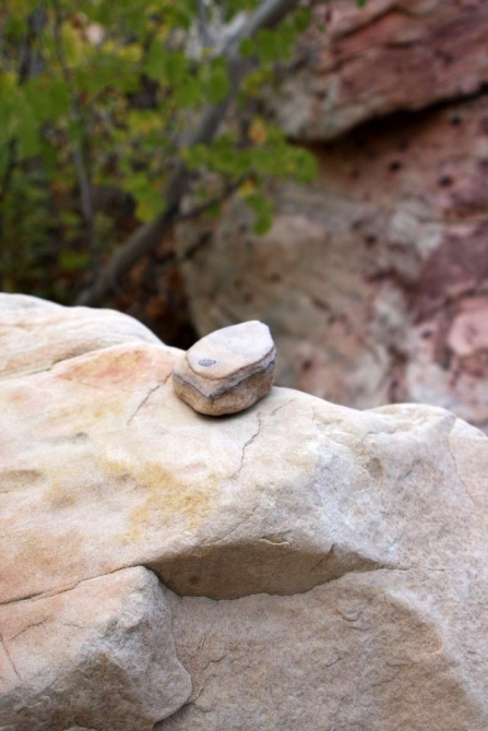 Каждому труженику по Мескалито...