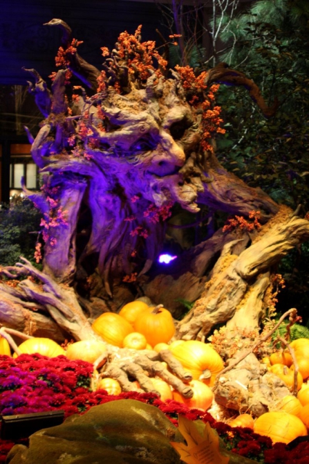 Каждому труженику по Мескалито...