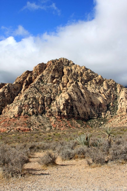 Свет в конце тунеля...