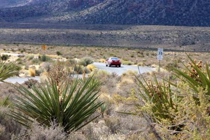 Свет в конце тунеля...