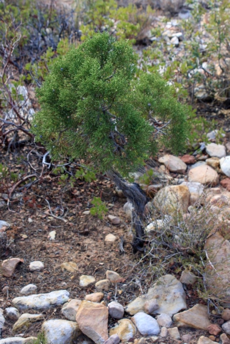 Свет в конце тунеля...