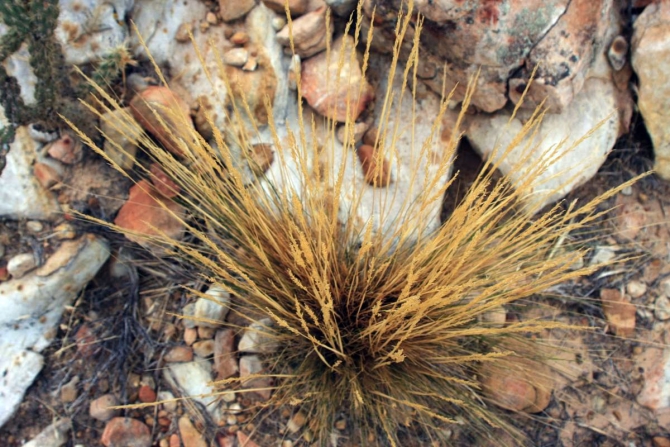 Свет в конце тунеля...