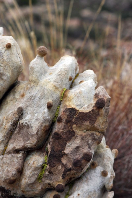 Свет в конце тунеля...