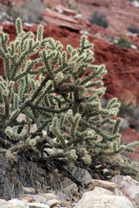 Свет в конце тунеля...