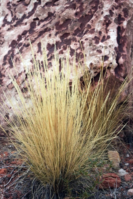 Свет в конце тунеля...