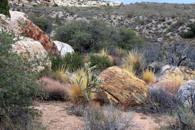 Свет в конце тунеля...