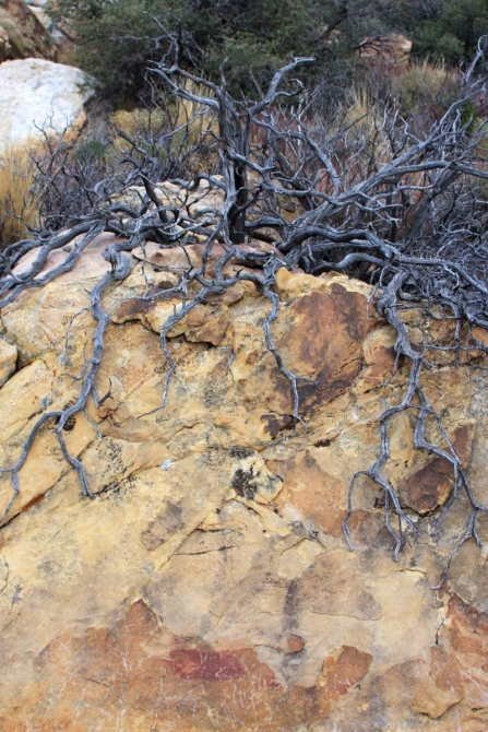 Свет в конце тунеля...