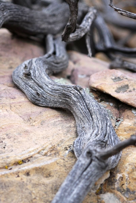 Свет в конце тунеля...