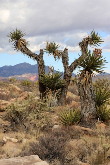 Почему любовь всегда приходит в последний день отпуска?