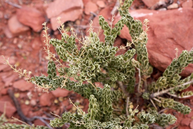 Почему любовь всегда приходит в последний день отпуска?