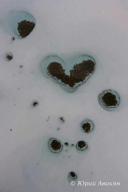 Безенги (Туризм, Безенги Ледник Альпинизм Ледник Главный Кавказский Хребет Кавказ Лавины)