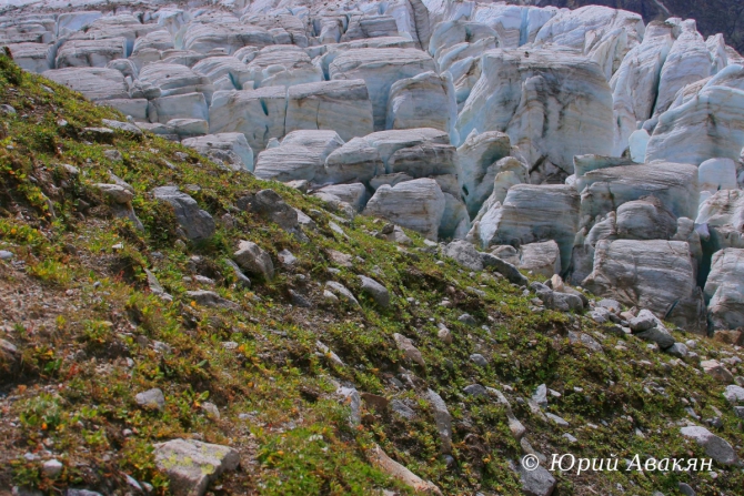 Безенги (Туризм, Безенги Ледник Альпинизм Ледник Главный Кавказский Хребет Кавказ Лавины)