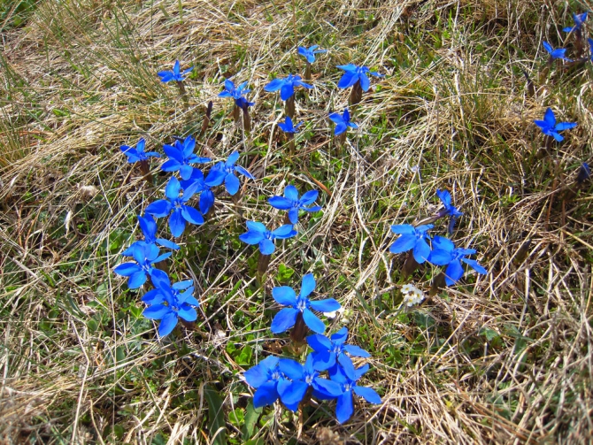 Майский поход по Кавказу. Итог. (Горный туризм)