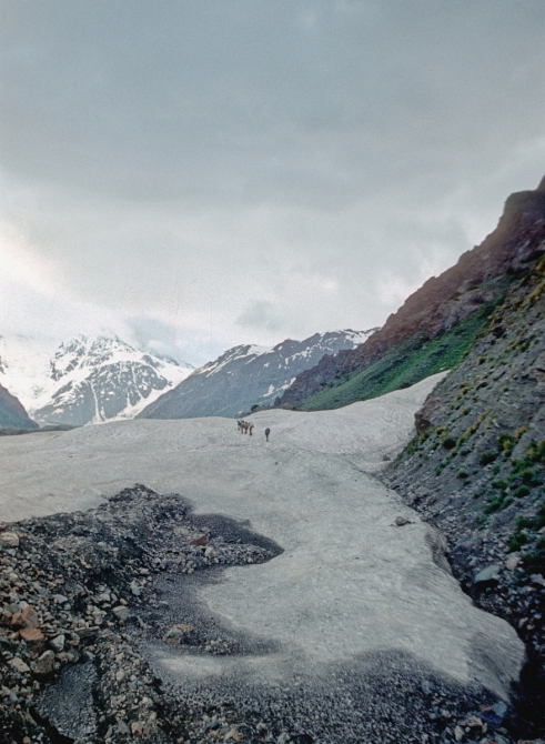 Памир 1987. Памяти Николая Плетнёва (Горный туризм)