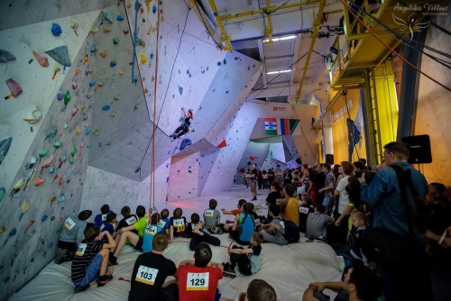 Кубок Новосибирской области 2016 в Панораме (Скалолазание, скалолазание)