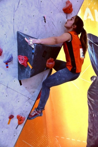 Кубок Новосибирской области 2016 в Панораме (Скалолазание, скалолазание)