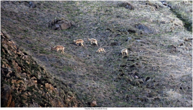 Денёк Эльбрусской жизни. (Горные лыжи/Сноуборд)