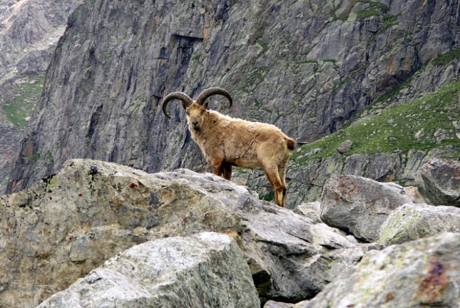 12 идей для путешествий на 12 июня (Туризм, туризм, russiadiscovery, новости, плато путорана, эльбрус, чуйские альпы, тумча, безенги)