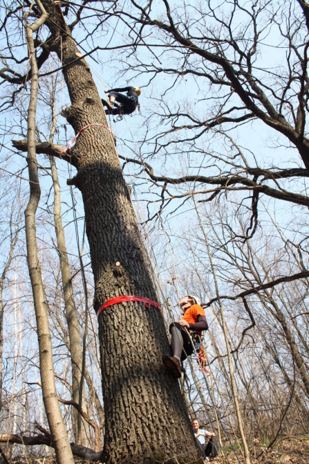 Кубок по спасательным работам в Воронеже 28-29 мая. (Альпинизм, соревнования, спасработы, спасательные работы)