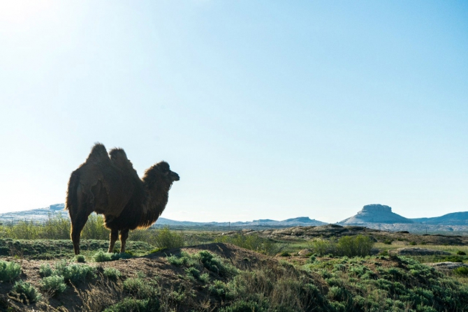 UBF9 / Бектау Ата! Отчёт, комары, боль. (Скалолазание, крутота, мгк восхождение)