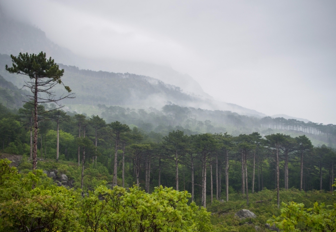 Дорога в Гиперборею. Хайлайн на Шаан-Кае. (Альпинизм, слэклайн, горы, крым, шаан-кая, slackline, highline, slacklabs)
