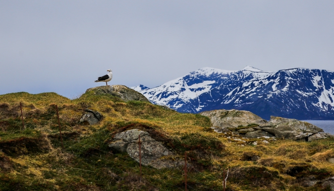«Есть только миг между прошлыми будущим…» (Бэккантри/Фрирайд, backcountry, Щпицберген, ski-tour, freeride, север, арктика, мечта, Северный Ледовитый океан, Longyearbyen)