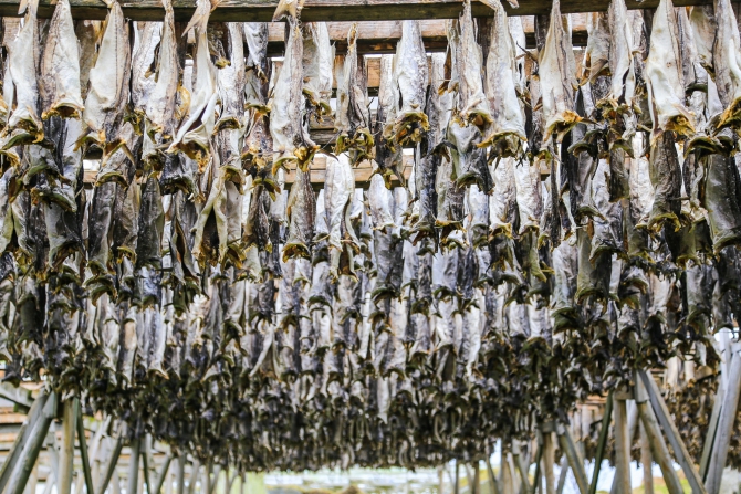 «Есть только миг между прошлыми будущим…» (Бэккантри/Фрирайд, backcountry, Щпицберген, ski-tour, freeride, север, арктика, мечта, Северный Ледовитый океан, Longyearbyen)