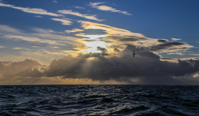 «Есть только миг между прошлыми будущим…» (Бэккантри/Фрирайд, backcountry, Щпицберген, ski-tour, freeride, север, арктика, мечта, Северный Ледовитый океан, Longyearbyen)