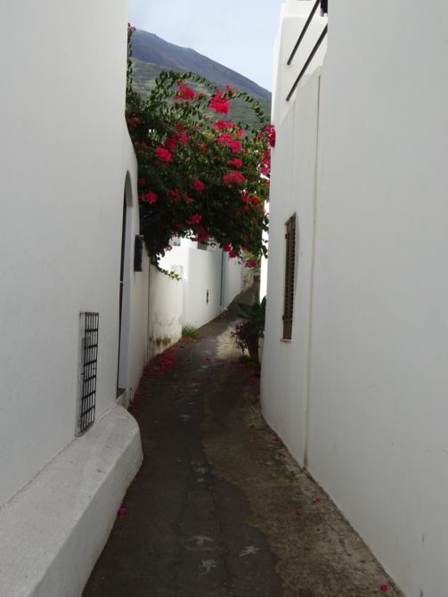 Восхождение на вулкан Стромболи. (Туризм)