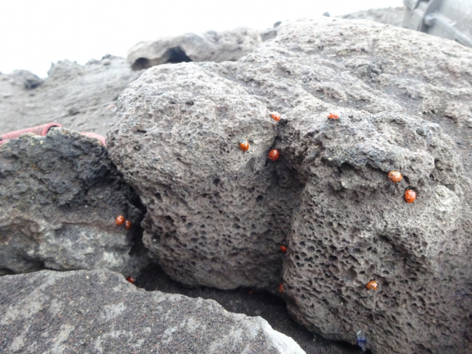 Восхождение на вулкан Стромболи. (Туризм)